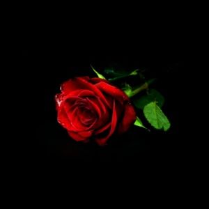 Meet your Posher, Candy